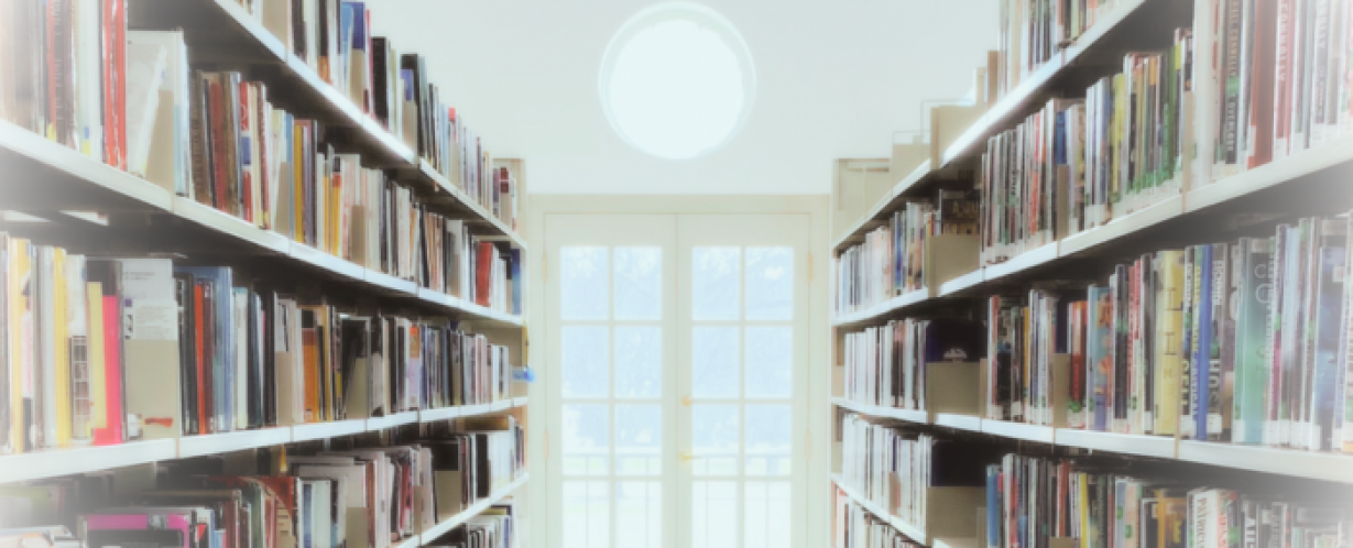 Picture of bookshelves on the left and right with vibrant colors of books. centered is a patio door with longwise rectangle window panes, above is a circle window. photo has a blurry filter