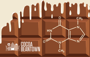 The Science of Chocolate