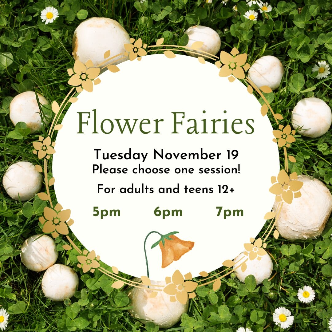 Flower Fairies - November 19