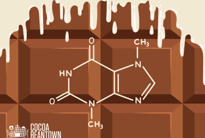 The Science of Chocolate