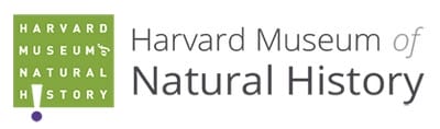 http://Harvard%20Museums%20of%20Science%20and%20Culture