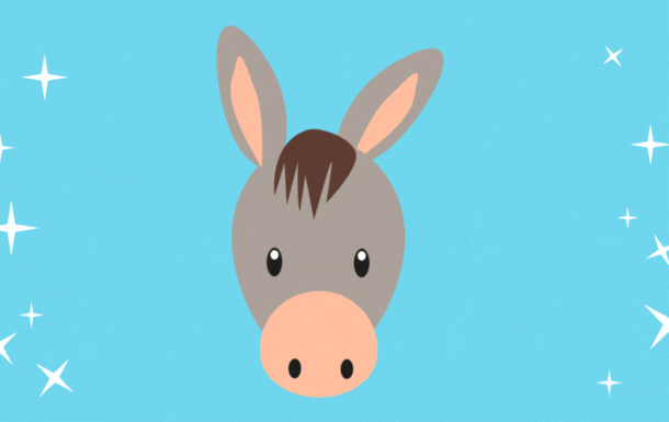 DELIGHTFUL DONKEYS